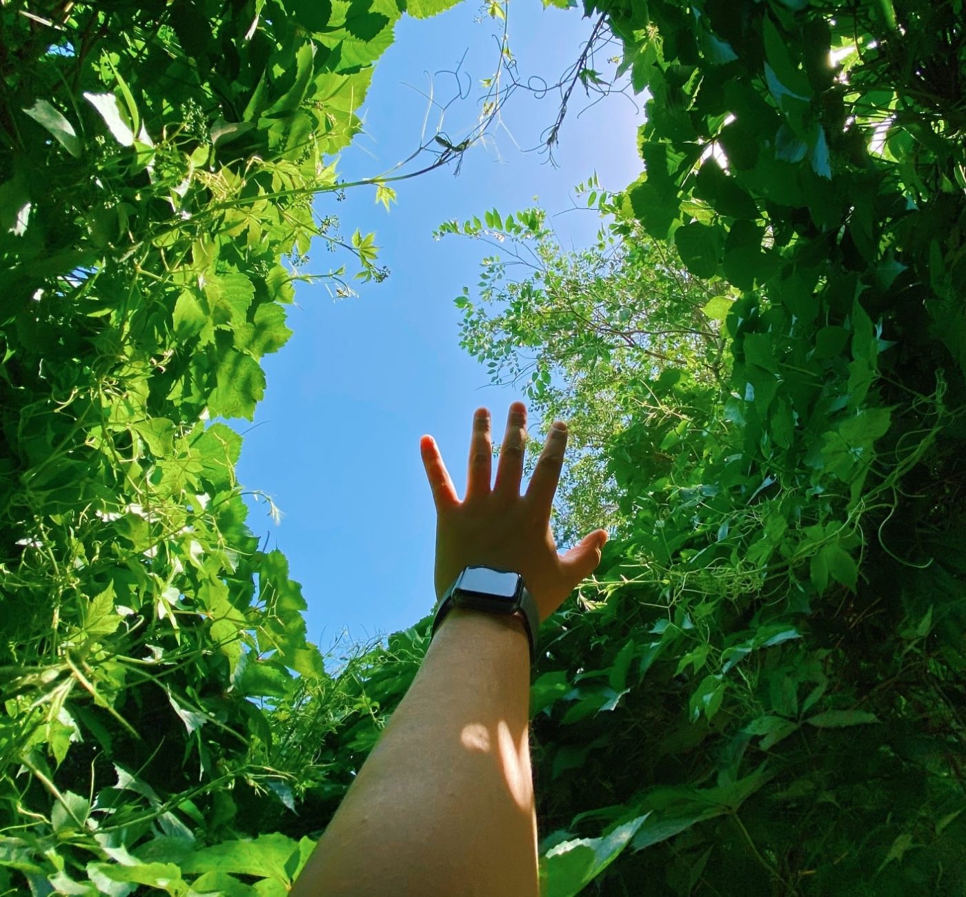 Perte de sens dans votre couple ? Retrouvez la connexion profonde de votre relation…